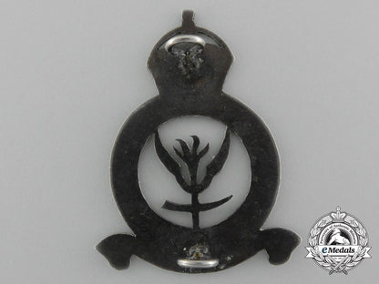 a_rhodesian_air_force_central_flying_school_instructor’s_cap_badge_c_9116