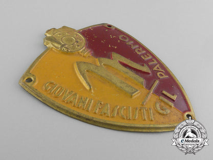 an_italian_youth_of_palermo_fascist_membership_badge_c_9288