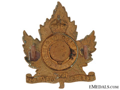 29Th (Waterloo) Regiment Officer's Cap Badge,