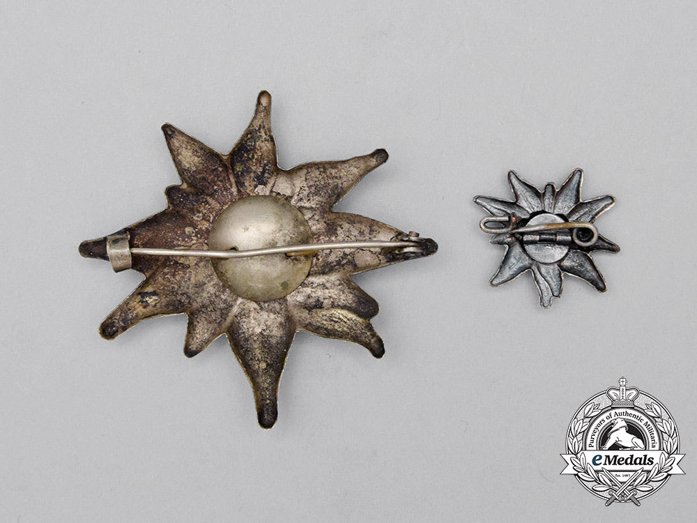 two_third_reich_period_dav(_german_alpine_association)_badges_cc_1460