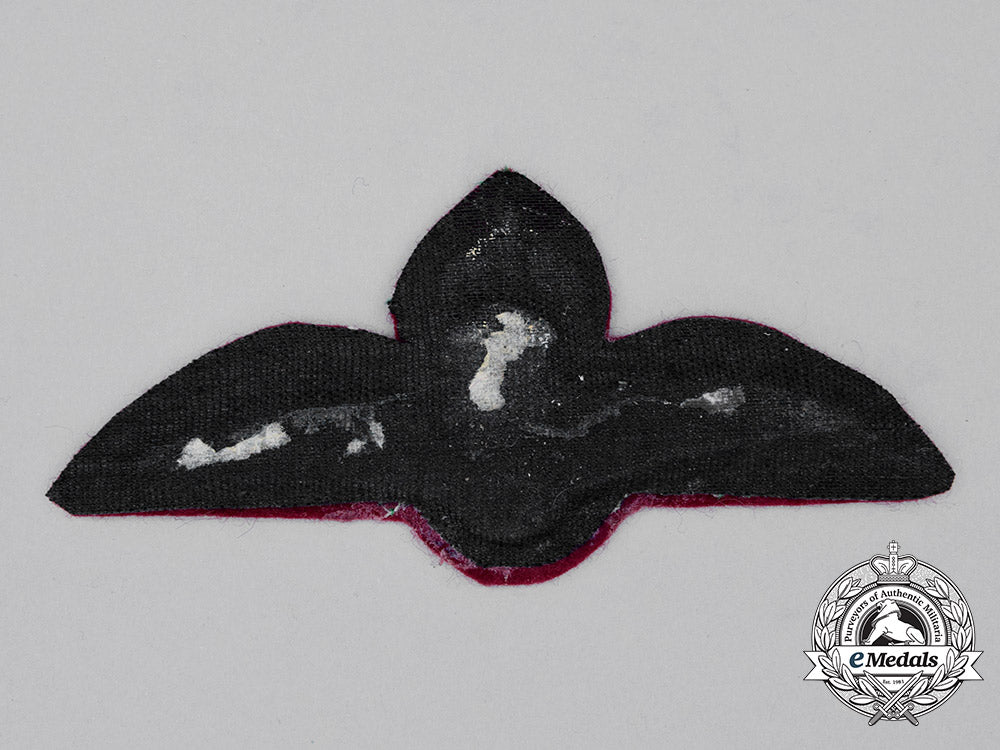 a_qatar_air_force_pilot's_wing_cc_1539