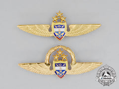 Two Colombian Air Force (Fac) Pilot Badges