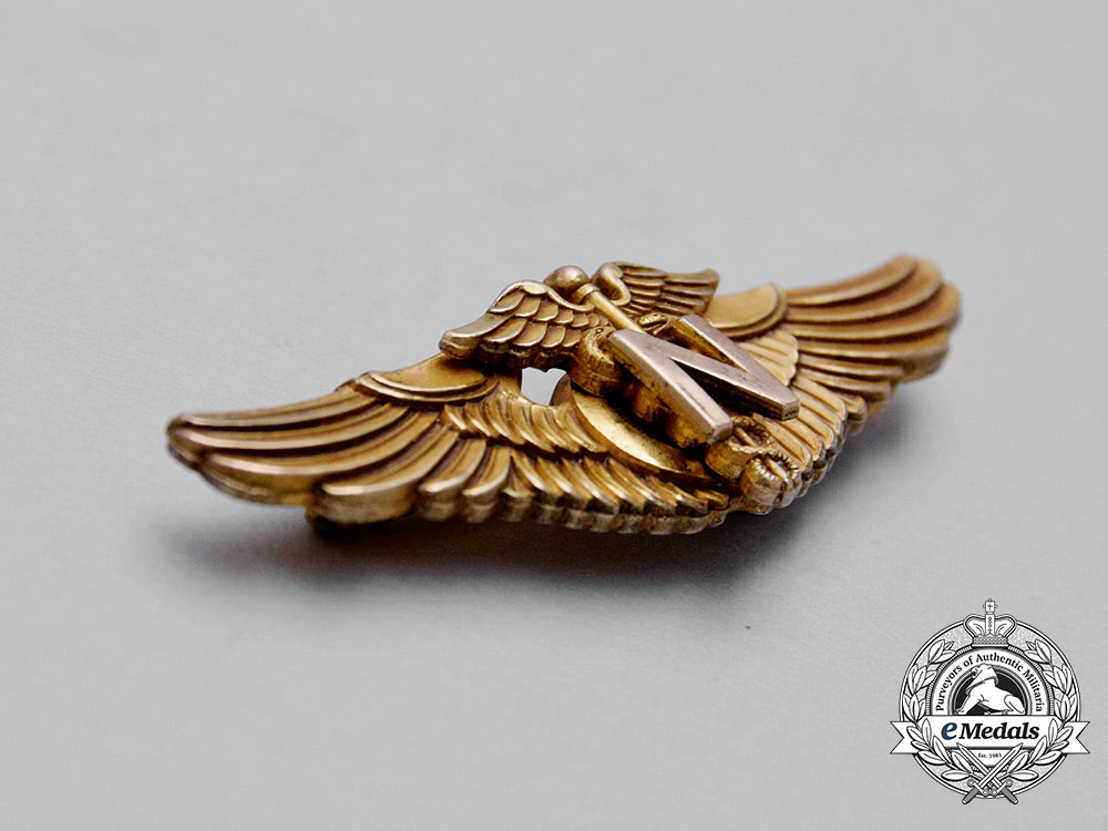 a_second_war_united_states_army_air_forces(_usaaf)_flight_nurse_badge,_c.1942_cc_1598