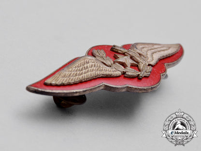 a_chilean_air_force_pilot_badge_cc_1628