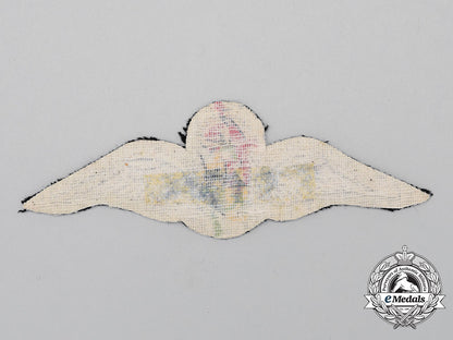 a_south_african_air_force(_saaf)_pilot_wing,1923_issue_cc_1703