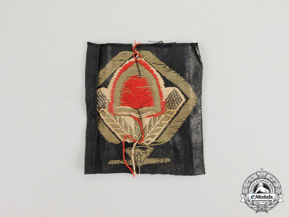 a_mint_and_unissued_bevo_rad(_national_labour_service)_cap_insignia_cc_6219