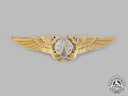 united_states._a_navy_radar_observer_badge,_c.1943_ci19_0264