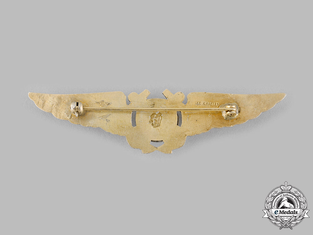 united_states._a_navy_radar_observer_badge,_c.1943_ci19_0265