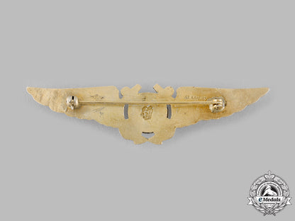 united_states._a_navy_radar_observer_badge,_c.1943_ci19_0265