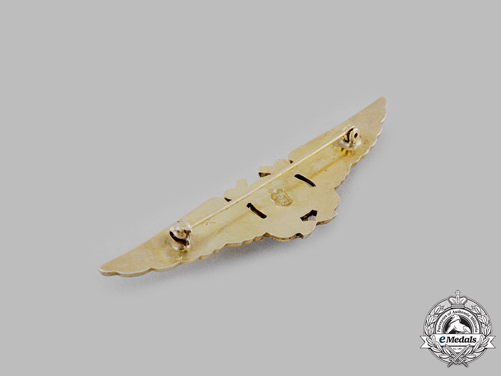 united_states._a_navy_radar_observer_badge,_c.1943_ci19_0267