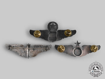 united_states._three_army_air_force/_united_states_air_force_badges_ci19_0487_1