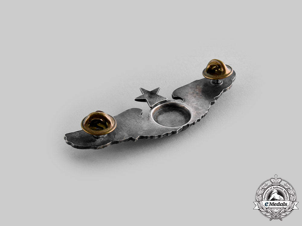 united_states._three_army_air_force/_united_states_air_force_badges_ci19_0490_1