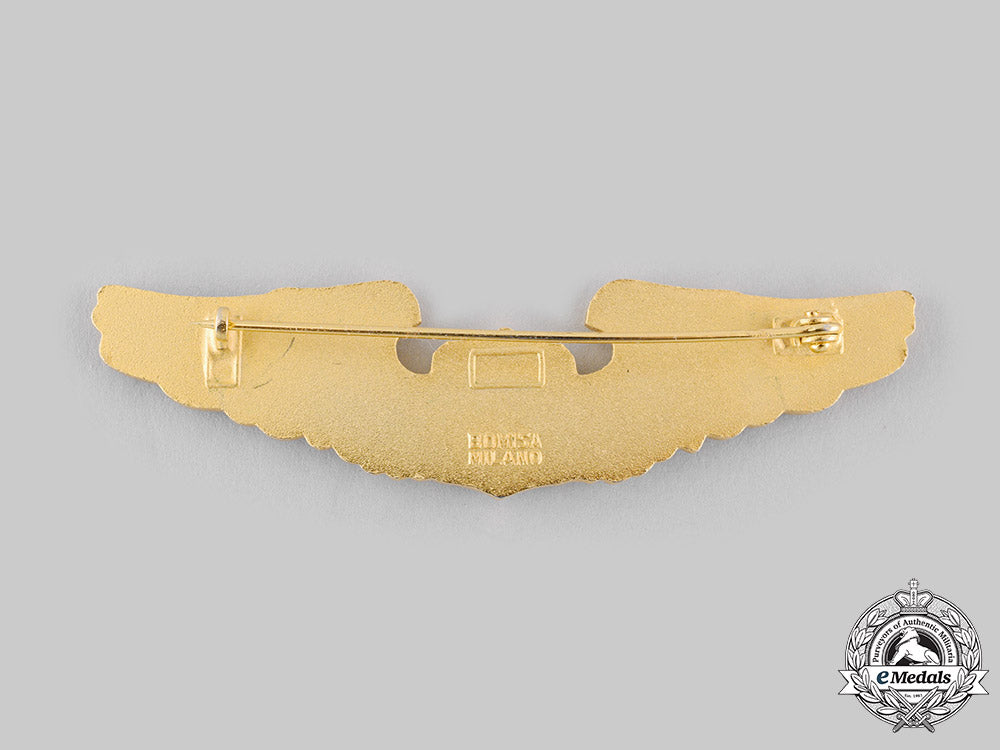 libya,_republic._an_air_force_pilot_badge_ci19_0517