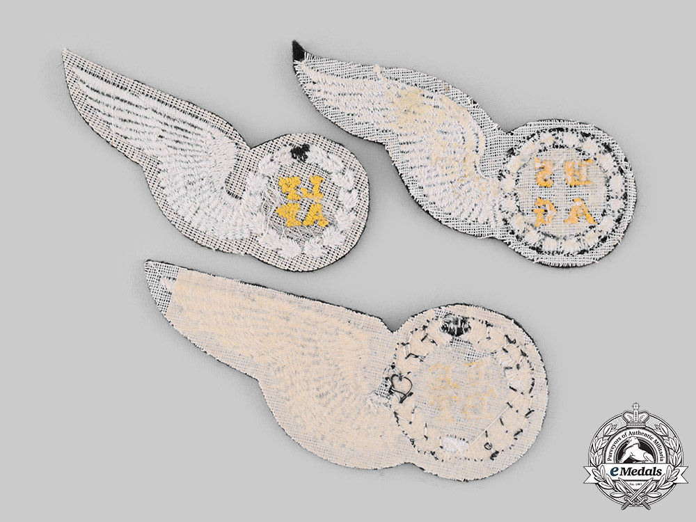 south_africa,_republic._three_south_african_air_force_qualification_badges_ci19_0536