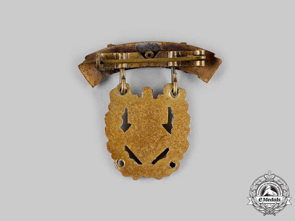 germany,_dsv._a_german_marksmanship_association(_dsv)_small_honour_badge_for_distunguished_shooting,_gold_grade_ci19_1051