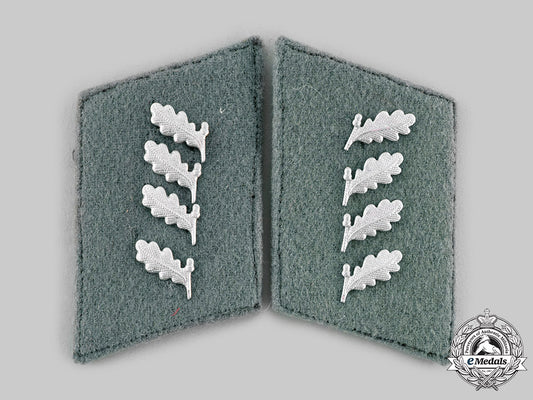 germany,_reich_forstschutz._a_pair_of_heer_reich_forstschutz(_forestry_service)_collar_tabs._ci19_1173_1