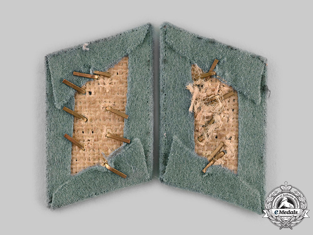 germany,_reich_forstschutz._a_pair_of_heer_reich_forstschutz(_forestry_service)_collar_tabs._ci19_1174_1