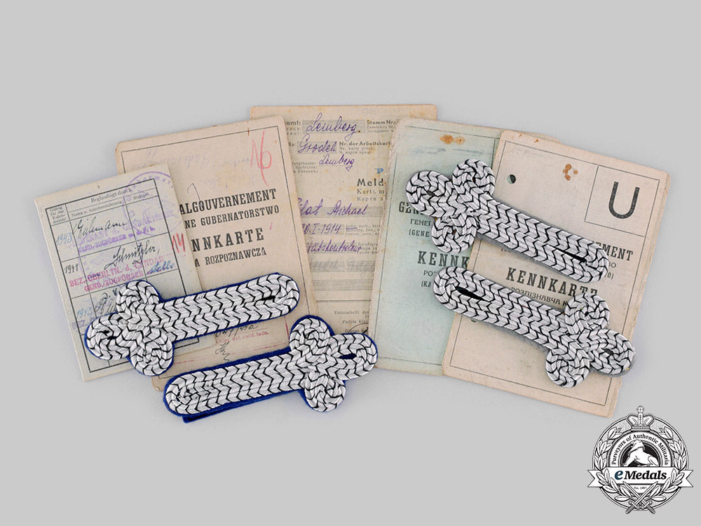 germany,_third_reich._a_lot_of_general_government_documents_and_insignia_ci19_1287