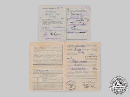 germany,_third_reich._a_lot_of_general_government_documents_and_insignia_ci19_1294