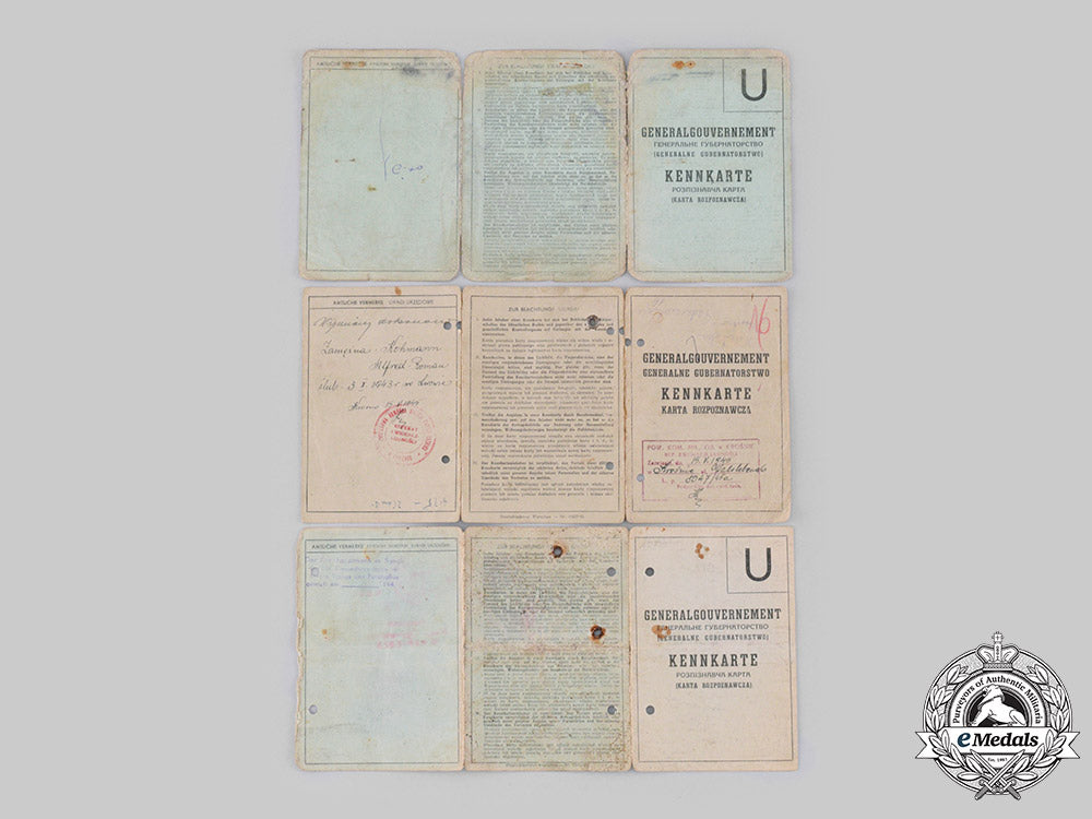 germany,_third_reich._a_lot_of_general_government_documents_and_insignia_ci19_1296