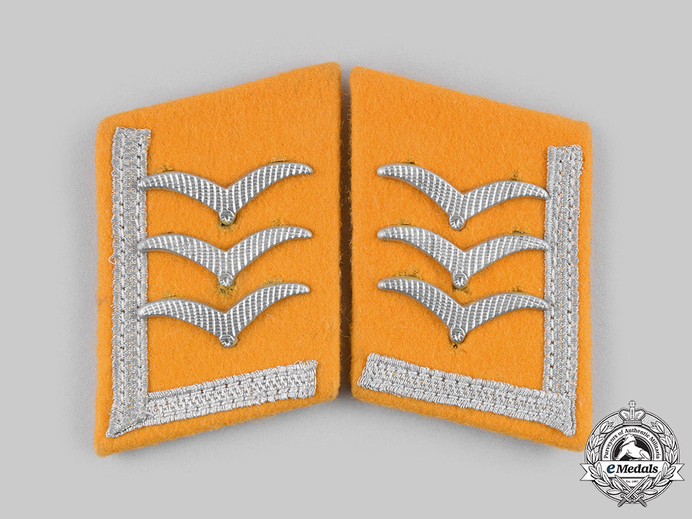 germany,_luftwaffe._a_set_of_flight_personnel_feldwebel_collar_tabs_ci19_1621