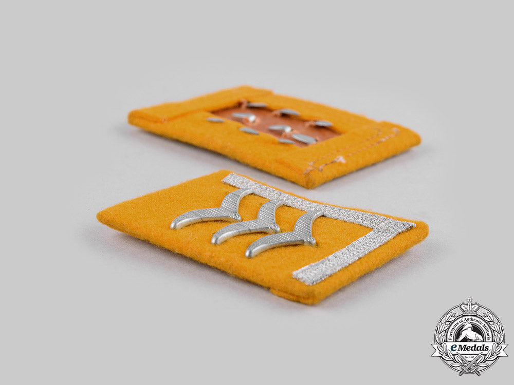 germany,_luftwaffe._a_set_of_flight_personnel_feldwebel_collar_tabs_ci19_1623