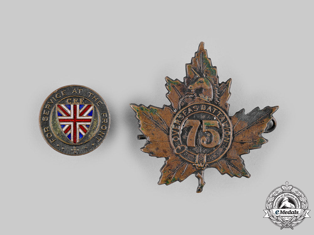 canada._a_medal_pair,75_th_infantry_battalion,84_th_infantry_battalion_ci19_2076