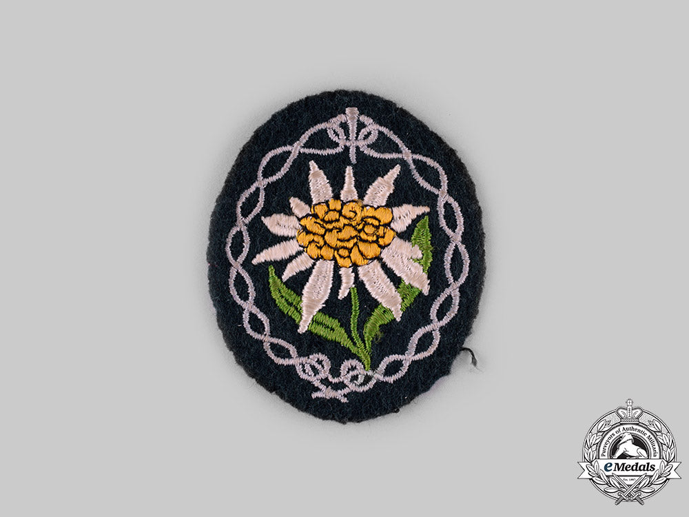 germany,_heer._a_lot_of_gebirgsjäger_uniform_insignia_ci19_2127