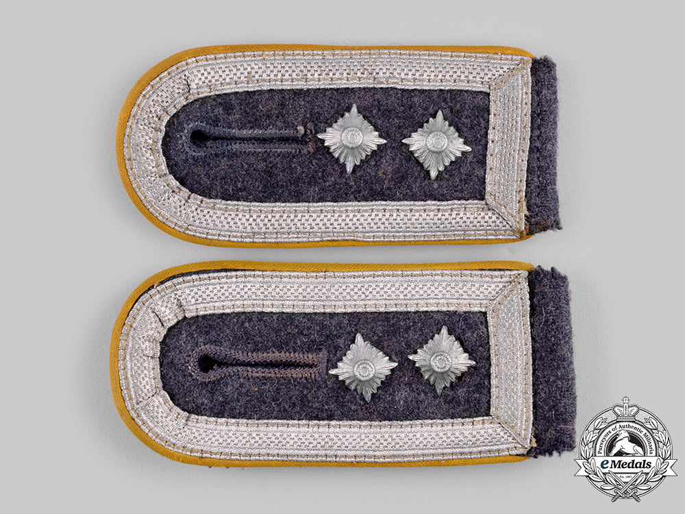 germany,_luftwaffe._a_lot_of_luftwaffe_rank_insignia_ci19_2231