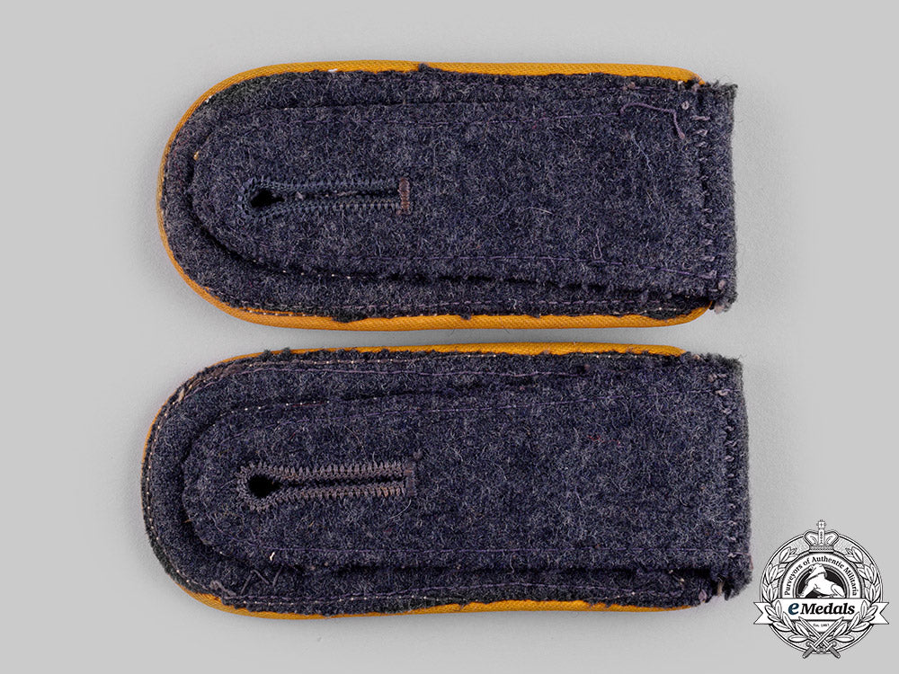 germany,_luftwaffe._a_lot_of_luftwaffe_rank_insignia_ci19_2232