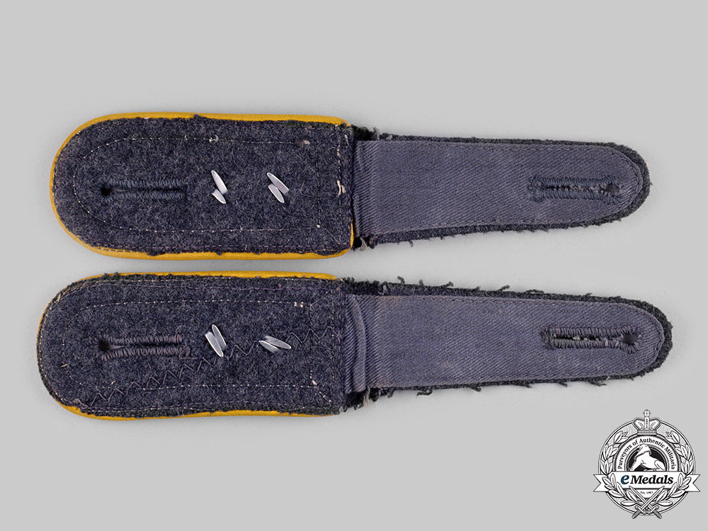 germany,_luftwaffe._a_lot_of_luftwaffe_rank_insignia_ci19_2233