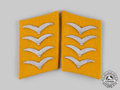 germany,_luftwaffe._a_lot_of_luftwaffe_rank_insignia_ci19_2235