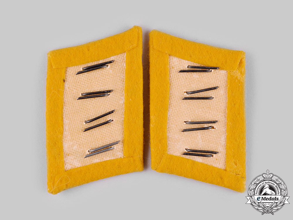 germany,_luftwaffe._a_lot_of_luftwaffe_rank_insignia_ci19_2236