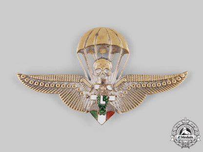 hungary,_kingdom._a_rare_levente_parachutist_badge_ci19_2379_2