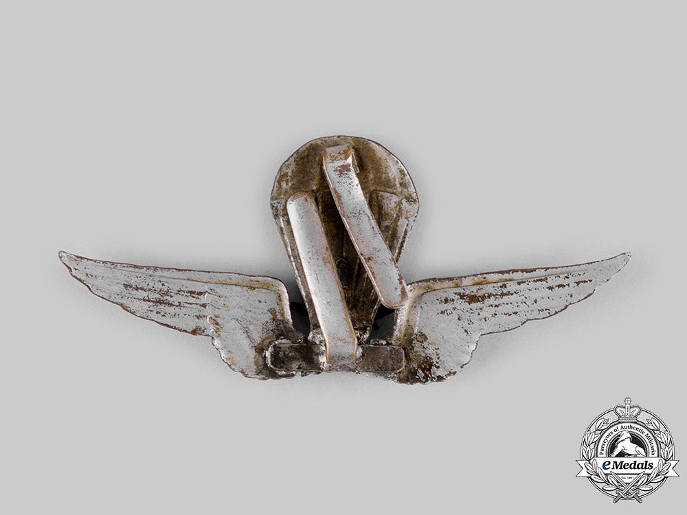 hungary,_kingdom._a_rare_parachutist_badge_with_recipient_photo_ci19_2461_2_1