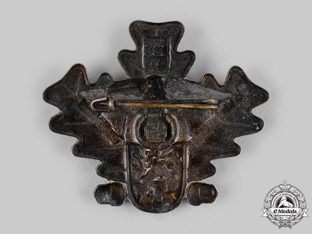 germany,_nsdap._a1934_gautag_gera_commemorative_badge_ci19_2477_2