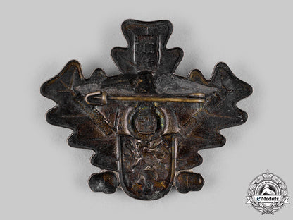 germany,_nsdap._a1934_gautag_gera_commemorative_badge_ci19_2477_2