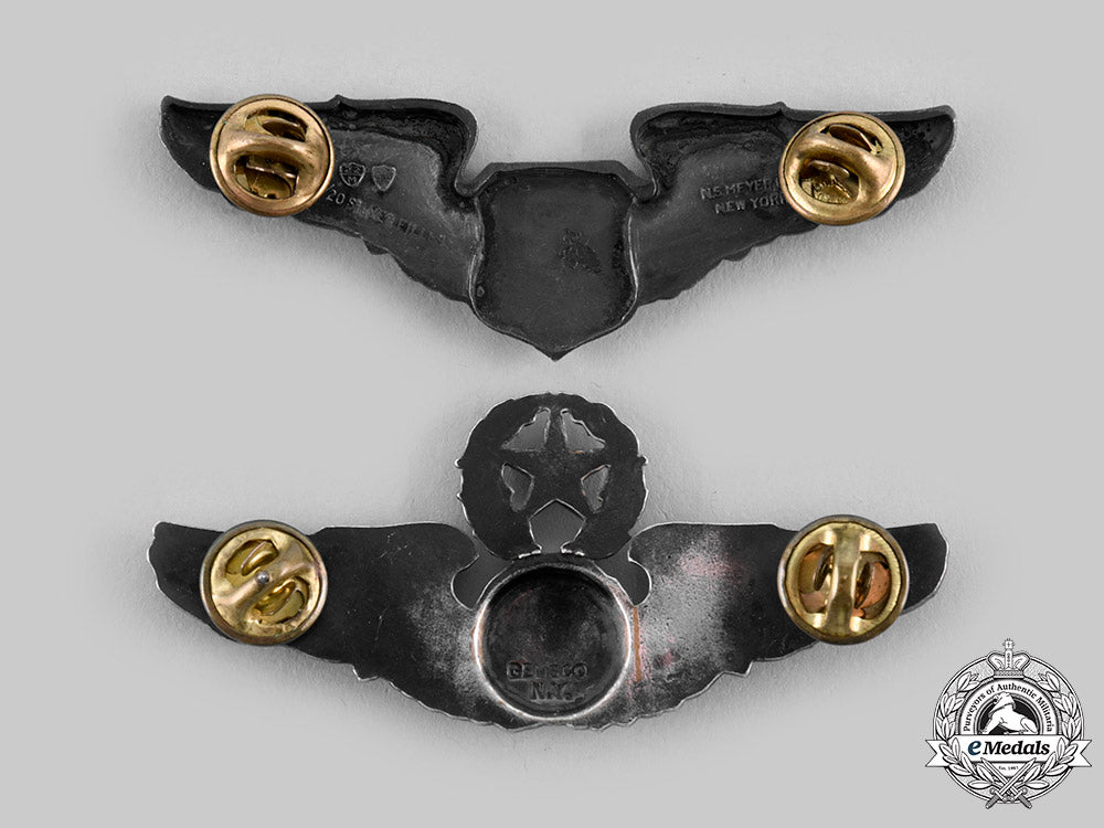 united_states._two_united_states_air_force_badges_ci19_2514_1