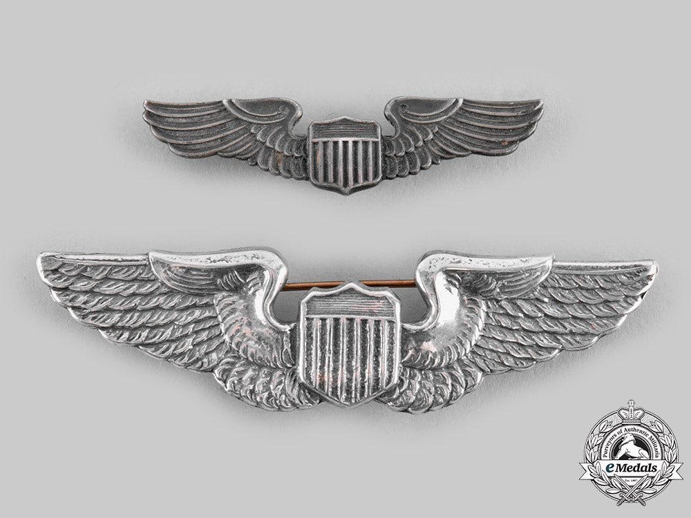 united_states._two_second_war_army_air_force_pilot_badges_ci19_2521