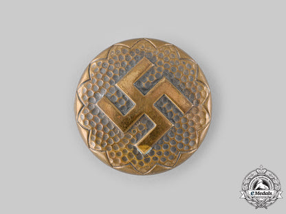 germany,_nsdap._a_runic_badge_ci19_2867
