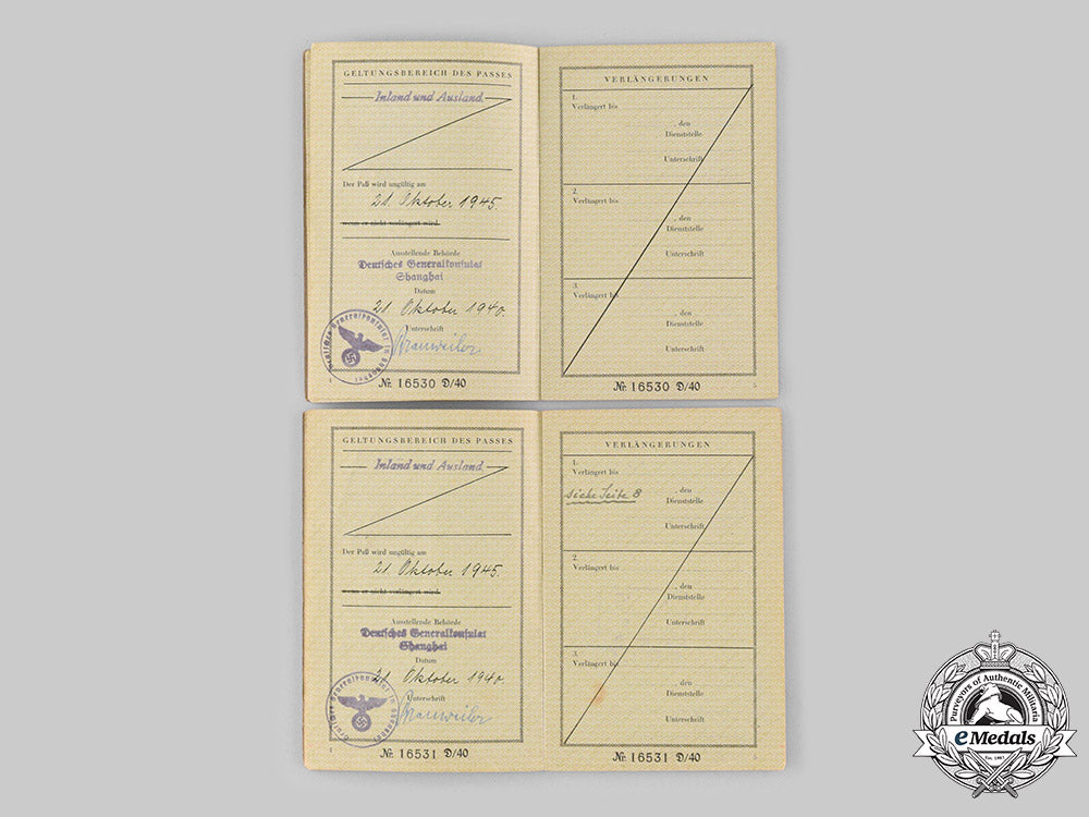 germany,_third_reich._a_pair_of_reisepässe_to_leon_and_alla_von_hauffe_ci19_2905