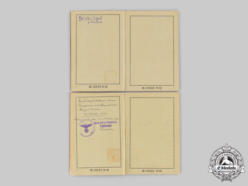 germany,_third_reich._a_pair_of_reisepässe_to_leon_and_alla_von_hauffe_ci19_2907