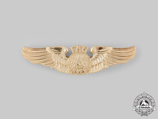 el_salvador,_republic._an_air_force_pilot_badge,_by_n.s.meyer,_c.1985_ci19_3127