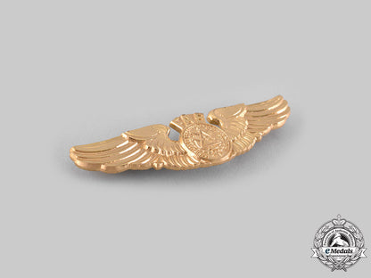 el_salvador,_republic._an_air_force_pilot_badge,_by_n.s.meyer,_c.1985_ci19_3129