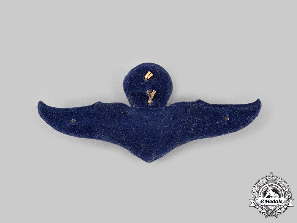 thailand,_kingdom._a_master_parachutist_badge_ci19_3137