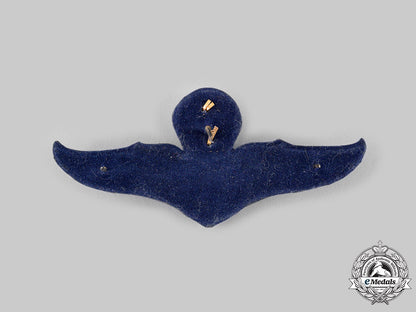 thailand,_kingdom._a_master_parachutist_badge_ci19_3137