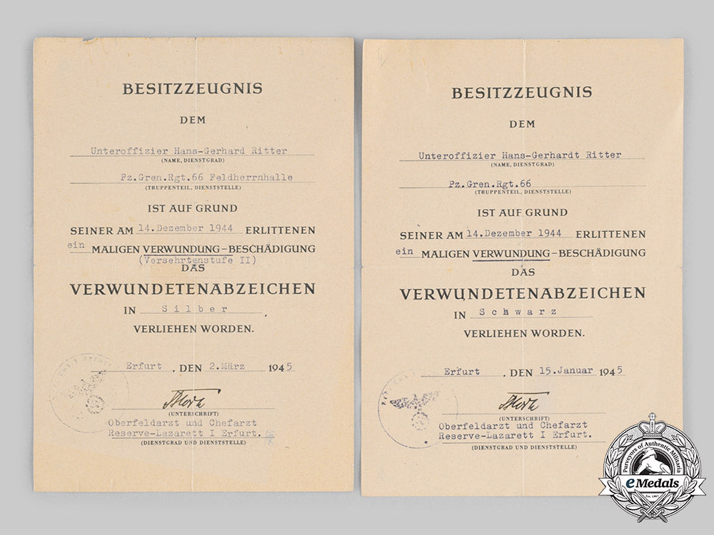 germany,_heer._a_lot_of_award_and_service_documents_to_unteroffizier_hans-_gerhard_ritter_ci19_3353_2