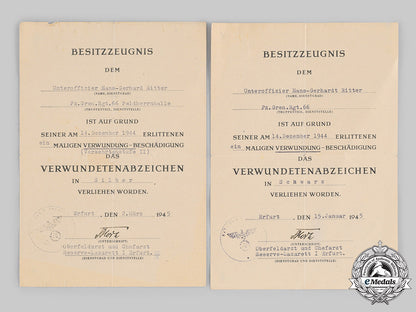 germany,_heer._a_lot_of_award_and_service_documents_to_unteroffizier_hans-_gerhard_ritter_ci19_3353_2