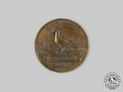 Germany, Imperial. A Messenger Pigeon Breeder’s Merit Medal