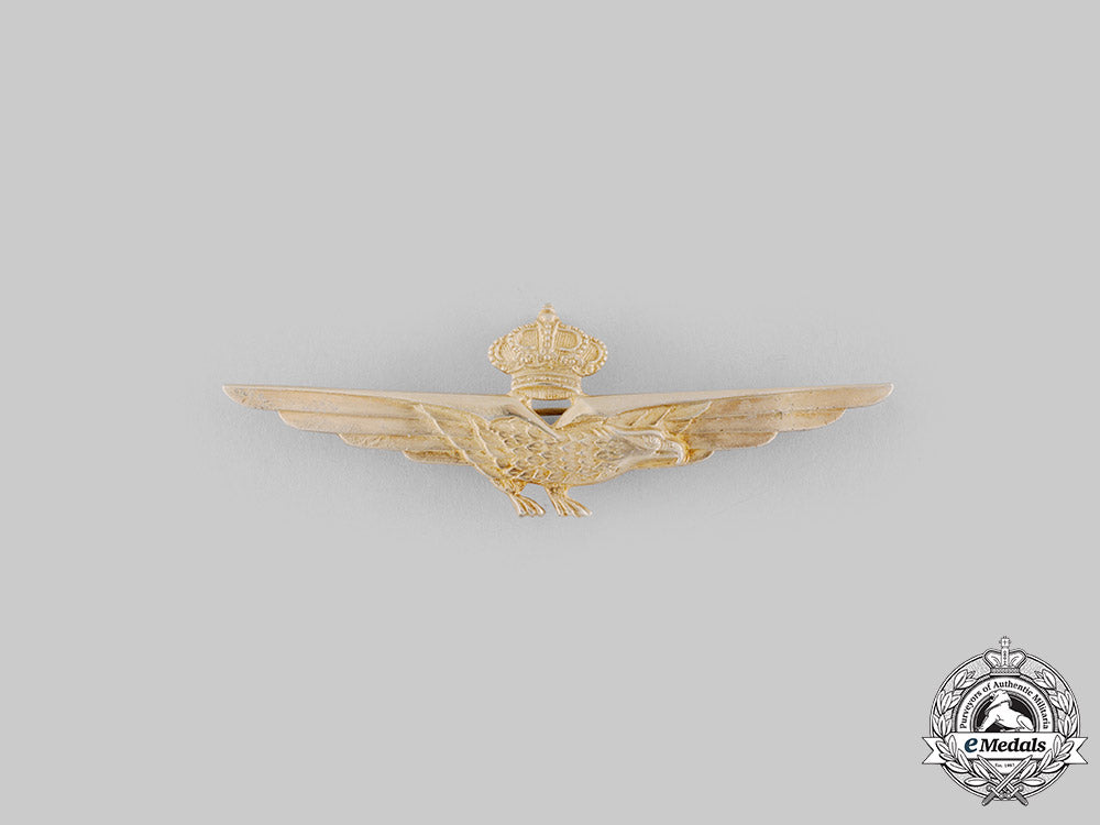 italy,_kingdom._a_royal_italian_air_force_pilot's_badge_with_case,_c.1930_ci19_4811_2_1